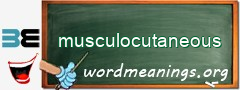 WordMeaning blackboard for musculocutaneous